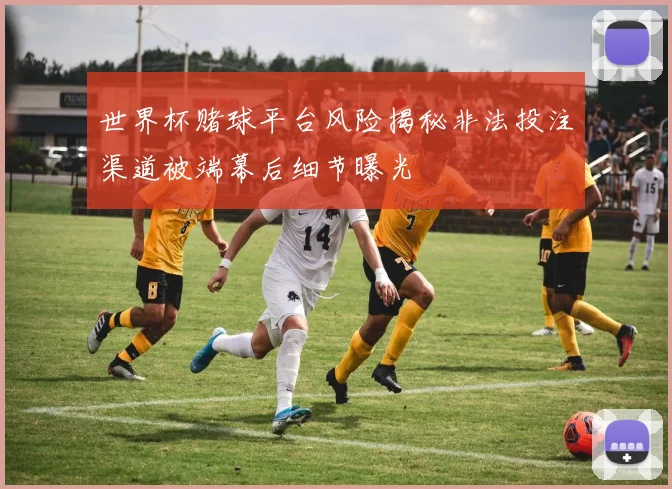 世界杯赌球平台风险揭秘非法投注渠道被端幕后细节曝光