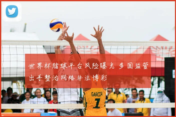 世界杯赌球平台风险曝光 多国监管出手整治网络非法博彩