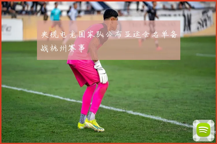 央视电竞国家队公布亚运会名单备战杭州赛事